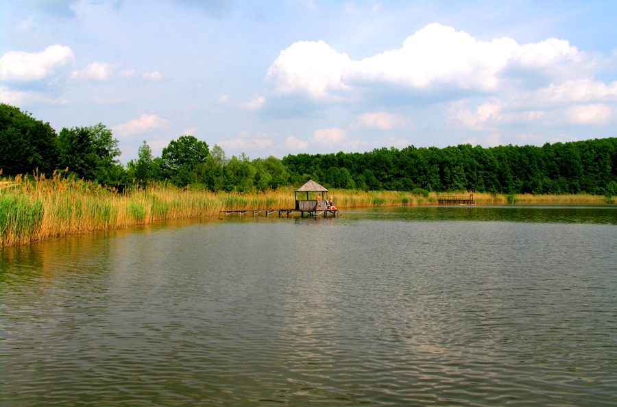 Озеро в заповеднике Плаюл фагулуй у села Рэдений Векь, Унгень 