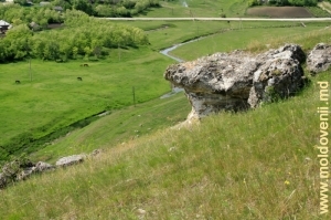 Stînca de la Buteşti şi valea rîului Camenca în r. Glodeni