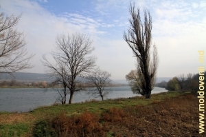 Nistru în apropierea satului Climăuţii de Jos, Șoldănești
