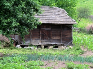 Старый дом в селе (20-е годы 20 в.)