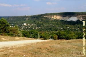 Вид на Рашков с правого берега Днестра у села Вадул Рашков