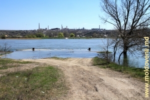 Malul Nistrului inundat nu foarte mult de lîngă satul Boşerniţa, Rezina. Aprilie 2013