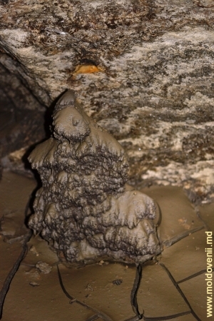 Живописная натечная фигура из глины на полу пещеры