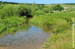 Река Ботна в селе Хородка, Яловень