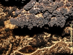 Марганцевые конкреции на стенах пещеры