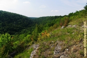 Defileul împădurit deasupra părţii îndepărtate a satului Stroienţi