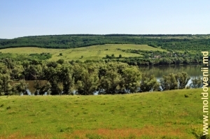 Водохранилище на реке Ботна у села Улму, Яловень