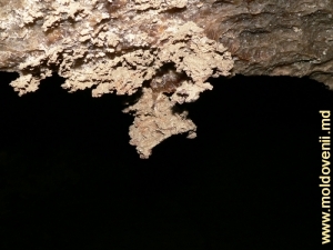 Глины пещеры, окрашенные окислами железа (желто-красные) и марганца (серо-черные)