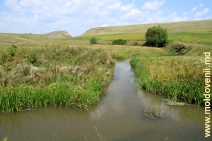 Meandrul rîului Lopatnic şi valea lui
