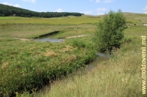 Meandrele rîului Lopatnic după satul Corjeuţi