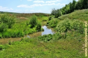 Река Ботна в селе Русештий Ной, Яловень