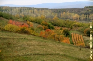 Осенний пейзаж, Каларашский район, октябрь 