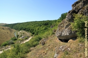Toltrele de lîngă satul Gordineşti, raionul Edineţ