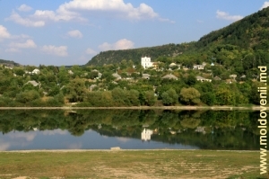 Вид на центральную часть села Рашков с правого берега Днестра
