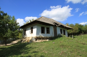 Casă părăsită din satul Leuşeni, Teleneşti