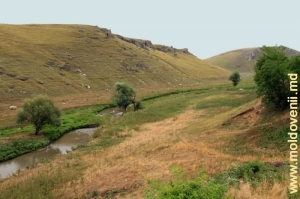 Valea r. Ciuhur şi toltrele de lîngă s. Horodişte, raionul Rîşcani
