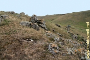Вид на ущелье со склона и вершины толтровой гряды