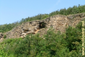 «Чертов мост» в склоне ущелья над Рашковом