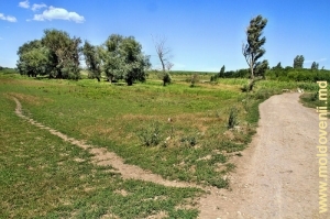 Locul de unde izvorăşte rîul Larga de la marginea satului Larga