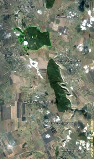 Zona recifelor de toltre de-a lungul văilor rîurilor Racovăţ şi Drahişte, r. Edineţ pe harta Google