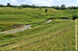 Valea rîului Larga în apropiere de satul Slobozia-Şirăuţi