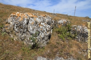 Toltrele de lîngă satul Gordineşti, raionul Edineţ