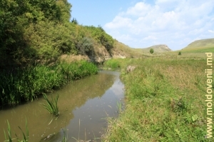 Valea rîului Lopatnic între Ocolul Silvic şi satul Caracuşenii Vechi