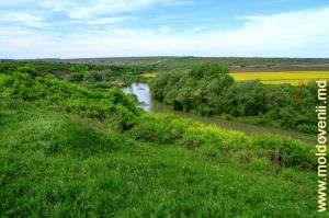 Прут у села Перерыта, Бричень, вид с правого склона над рекой