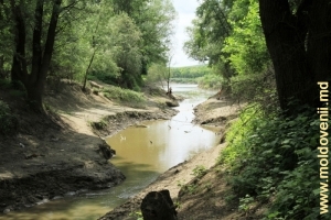 Речка Нырна перед впадением в Прут, Леушень, Хынчешть