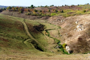 Pîrîiaşul Ţipova din partea de sus a Defileului Ţipova în apropiere de satul Horodişte