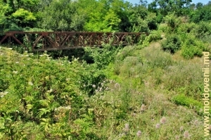 Ultimul pod peste Larga în apropiere de vărsarea acestuia în rîul Prut