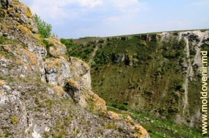 Defileul Buzdugeni şi valea rîului Racovăț, raionul Edineţ