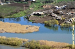 Nistrul lîngă satul Ţipova, Rezina. Vedere spre malul stîng, aprilie 2013