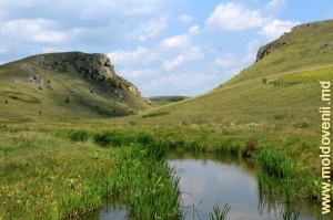 Defileul din valea rîului Lopatnic în apropiere de satul Caracuşenii Vechi