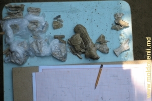 Добыча археологов в раскопках под Рашковом