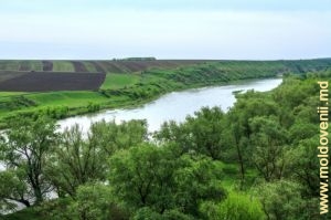 Прут у села Перерыта, Бричень, вид с левого склона над рекой