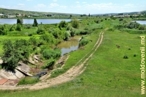 Водохранилище на реке Ботна в селе Костешть, Яловень
