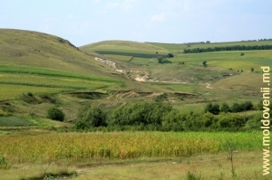 Rîpele şi Defileul deasupra rîului Lopatnic în apropiere de satul Caracuşenii Vechi