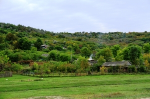 Vedere spre satul Hirişeni, Teleneşti