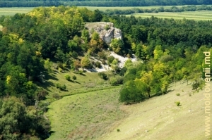 Vedere spre Rezervaţia „Borta Ciuntului” din valea r. Lopatnic între satele Corjeuţi şi Caracuşenii Vechi