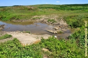 Река Ботна в селе Русештий Ной, Яловень