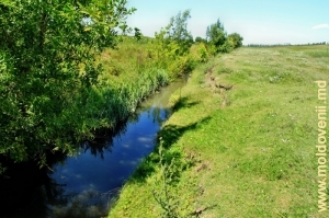 Rîul Larga la ieşirea din satul Hlina