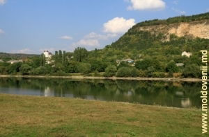 Вид на Днестр и село Рашков с правого берега Днестра