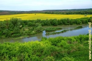 Прут у села Перерыта, Бричень, вид с правого склона над рекой