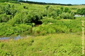Река Ботна в селе Хородка, Яловень