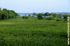 Gura rîului Nistru, regiunea Odessa, Ucraina