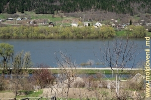 Nistrul lîngă satul Tarasova, Şoldăneşti