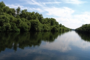 Prutul de Jos – una dintre cele cinci rezervaţii ştiinţifice, situate pe teritoriul Moldovei. Această rezervaţie se află nu departe de satul Slobozia Mare, raionul Vulcăneşti