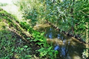 Rîul Larga din satul Hlina