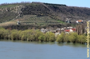 Nistrul lîngă satul Tarasova, Şoldăneşti. Vedere spre satul Stroieşti (Stroienţî), Rîbniţa, malul stîng, aprilie 2013